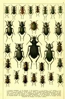 Planche Gueorgui Jacobson n° 2. Cliquer pour ouvrir la page.
