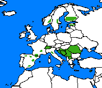 Apollon. Distribution.