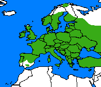 Aurore. Repartition.