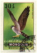Autour des palombes. Timbre mongolie.