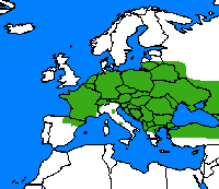 Azuré du trèfle. Repartition.