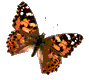 Image.