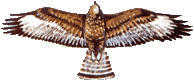 Buse variable.