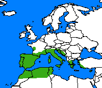Citron de Provence. Repartition.