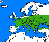 Demi-deuil. Répartition.