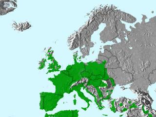 Effraie des clochers. Repartition.