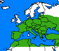 Flambé. Repartition.