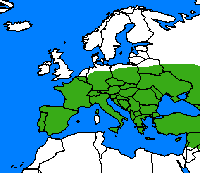 Fluoré. Repartition.