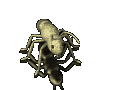 Image.