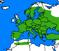 Gamma. Repartition.