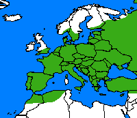 Hespérie du dactyle. Repartition.