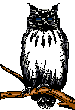 Hibou grand-duc. Dessin animé.