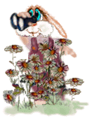 Image.