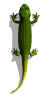 Image.