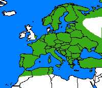 Machaon. Repartition.