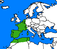 Marbré de vert. Repartition.