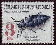 Meloe violacé. Timbre tchecoslovaquie.