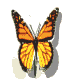 Image.