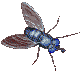 Image.