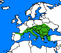 Nacré de la ronce. Repartition.