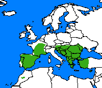 Petit agreste. Repartition.
