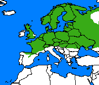 Petit collier argenté. Repartition.