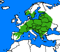 Plain-chant. Répartition.