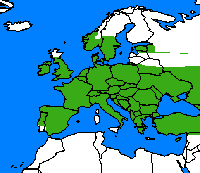 Point-de-hongrie. Répartition.