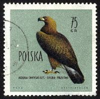 Aigle royal. Timbre pologne. Cliquer pour agrandir l'image.
