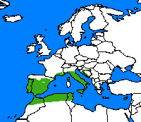 Amaryllis de Vallantin. Répartition. Cliquer pour agrandir l'image.