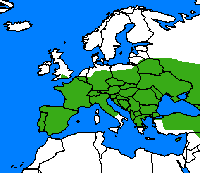 Argus bleu céleste. Répartition. Cliquer pour agrandir l'image.