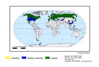 Autour des palombes. Répartition. Cliquer pour agrandir l'image.