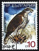 Autour des palombes. Timbre bulgarie. Cliquer pour agrandir l'image.