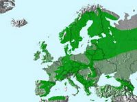 Bec-croisé des sapins. Répartition. Cliquer pour agrandir l'image.