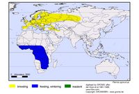 Bondrée apivore. Répartition. Cliquer pour agrandir l'image.
