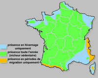Busard saint-martin. Répartition française. Cliquer pour agrandir l'image.