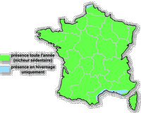 Buse variable. Répartition française. Cliquer pour agrandir l'image.