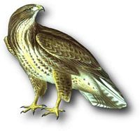 Buse variable. Dessin. Cliquer pour agrandir l'image.