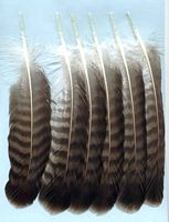 Buse variable. Plumes. Cliquer pour agrandir l'image.