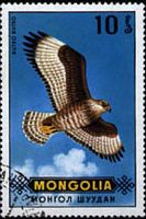 Buse variable. Timbre mongolie. Cliquer pour agrandir l'image.
