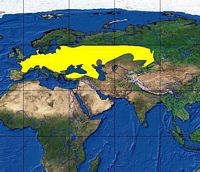 Campagnol des champs. Répartition. Cliquer pour agrandir l'image.