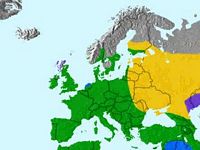 Chardonneret élégant. Répartition. Cliquer pour agrandir l'image.