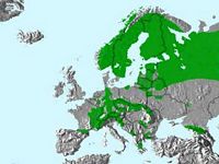Chouette de tengmalm. Répartition. Cliquer pour agrandir l'image.