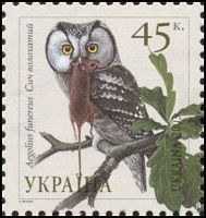 Chouette de tengmalm. Timbre ukrainien. Cliquer pour agrandir l'image.