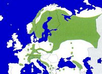 Chouette de tengmalm. Répartition. Cliquer pour agrandir l'image.