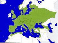 Chouette hulotte. Répartition. Cliquer pour agrandir l'image.