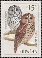 Chouette hulotte. Timbre ukraine. Cliquer pour agrandir l'image.