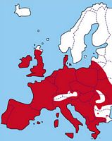 Effraie des clochers. Répartition. Cliquer pour agrandir l'image.