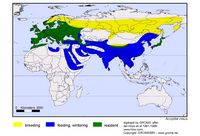 Épervier d'Europe. Répartition. Cliquer pour agrandir l'image.