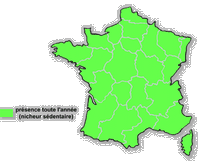 Faucon crécerelle. Répartition française. Cliquer pour agrandir l'image.